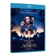 La Dernière vie de Simon