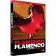 Flamenco Flamenco